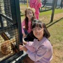 다나에스 이미지