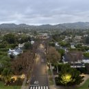 비버리힐즈 스위트 이미지