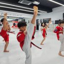 운정 경희대 퍼스트 태권도장 | 양주태권도, 아이들에게 최고의 선택이라 확신합니다