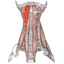 해비치한의원 이미지