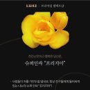 프리미엄셀렉트샵