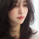 디어샵