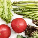 스컬 휘트니스 이미지