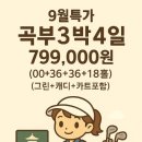 차칸골프투어