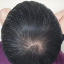 냥코캐슬 이미지