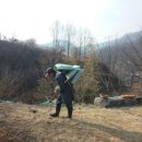 백두농장2 이미지