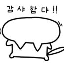 뉴씨엠치킨 네이버블로그