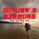 코타투어(Kota tour) 이미지