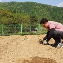 땅등농장 티스토리