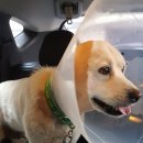 진숙농장 이미지