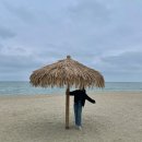 양지터널 위 공원 공중화장실 | 양양 봄 꽃놀이 드라이브 코스 추천! (가볼 만한 곳, 맛집, 카페, 비추천 포함)