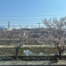 덕풍천 산책로 이미지