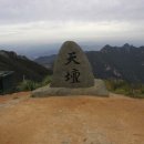(주)충청넷 Daum카페