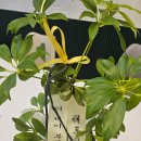 제이공인중개사사무소 이미지