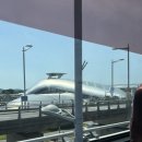 호텔 그랜드 | 인천 영종도 호텔 그랜드하얏트 후기, 수영장, 레스토랑저녁뷔페 명당 추천 내돈내산