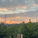 스테이 회천 이미지