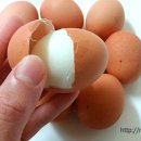 참좋은계란 이미지