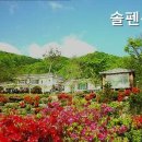 솔펜션 | 화전리펜션 솔펜션 자연 속 힐링 공간