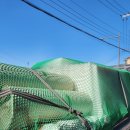 성신상사 이미지