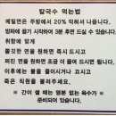 강령술 하는 칼국수집 이미지