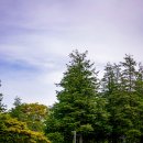 동서트레일 10th 제9-10구간 - 2nd_살다보면 아니 걷다보면... 이미지