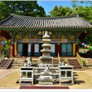 보살사 - 1198 | 용암동 보살사 오층석탑(龍岩洞 菩薩寺 五層石塔)