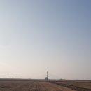시골담배