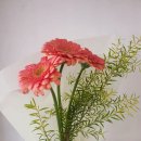 모전부동산공인중개사사무소 이미지