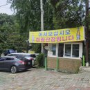 진동계곡산장1 | 미림 산장 계곡 식당 리얼 후기 여름휴가 추천지
