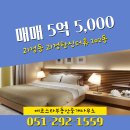 스타부동산중개 이미지