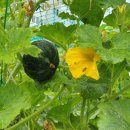 월성종합사회복지관 이미지