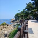 진시왕 | 양양 천년의 고찰이며 우리나라 삼대 발원 성지인 낙산사에 꼭 한번 가보시길(후기)