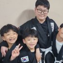혁신코리안주짓수종합격투기공권유술 | 전주 혁신 주짓수 왜 공권유술인가? (초보자가 가장 궁금해하는 5가지)