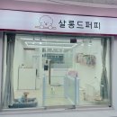 살롱드퍼피 이미지