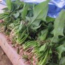 달우물농장 이미지