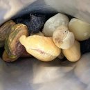 11500-6-53-09 이미지