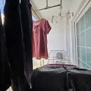 해바라기부동산중개사무소 이미지