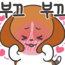 출출한강아지 이미지