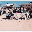 백조어린이집 이미지