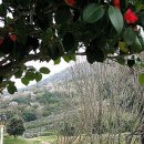 용장산성 이미지