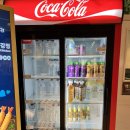 애플랜드 | 춘천 레고랜드 먹거리 솔직 후기(푸트코트,애플프라이즈,브릭토피아)