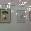 Korean Herbs We Draw, 그림으로 만나는 치유 식물 전시회 이미지