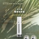 셀비아 이미지