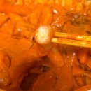 로제떡볶이의 원조 '배떡' 보통맛 솔직 후기! 추천 토핑 조합 (중국당면+분모자)
