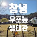 자연 | 우포늪 생태관 아이 체험 자연 학습 경남 나들이 후기 솔직 방문기