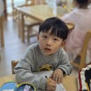 [프로젝트] 곤충(벌)특징과 밴다이어 그램 이미지