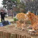 선사시대로 테마거리 이미지