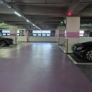 클럽밸런스5일산식사점 | 일산 풍동 맛집 사쿠라테이엔 일산풍산점 방문 후기