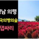 가을 여행지 경상도 가볼만한곳 의령 호국의병의숲 댑싸리 축제 아스타 꽃 핑크뮬리 명소 이미지