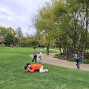 순천만국가정원 이미지